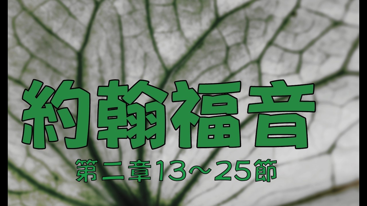 2026.2.27 約翰福音二章13～25節