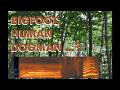 Upper Peninsula Michigan -  Bigfoot or Dogman Whoop (Case #20)