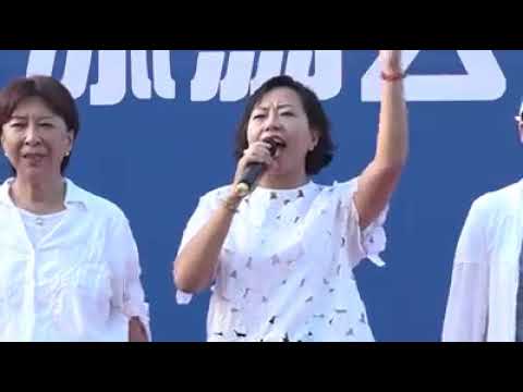 香港立法會議員麥美娟發言為警隊打氣、為香港打氣《撐警隊、護法治、保安寧》民間聲援集會