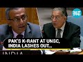 India Stings Pak At UNSC For Raking Kashmir During Israel-Hamas Debate | Watch