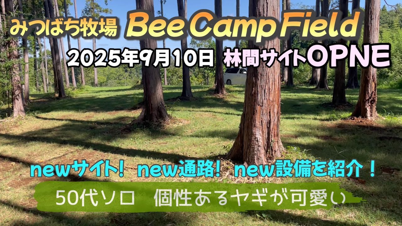 人気上昇！注目のサイト【Bee Camp Field】設備も整い快適に♪