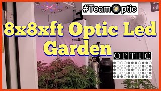 8 x 8 Flower Room - 4x8 VEG - Slim 600H - Optic 8+ - Optic 6