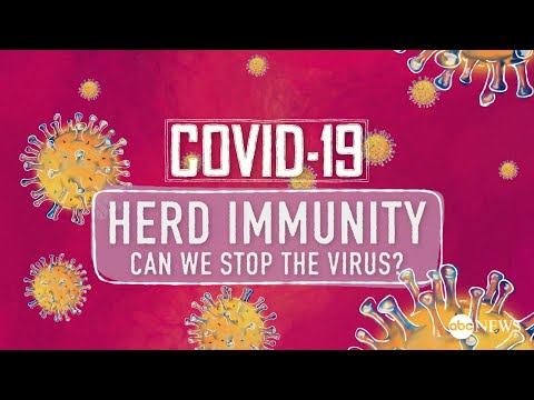 How herd immunity from coronavirus is developed