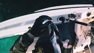 Light tackle Snoek fishing Part 3🌊🛥️🎣🐟