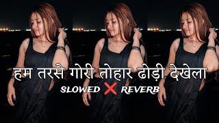        slowedreverb Bhojpuri lofi  Ham Tarsile Gori djsurajbirpur 