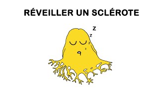 Blob à Réveiller - Kit Avec 4 Sclérotes - Neuf - Origine France