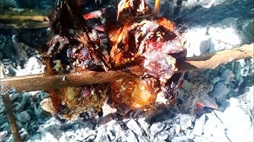 một món ăn từ thiên nhiên(thịt chuột nướng trong rừng)lý thị Hoa