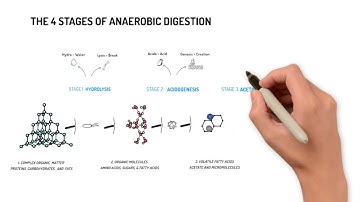 1.5 Four Stages of Anaerobic Digestion