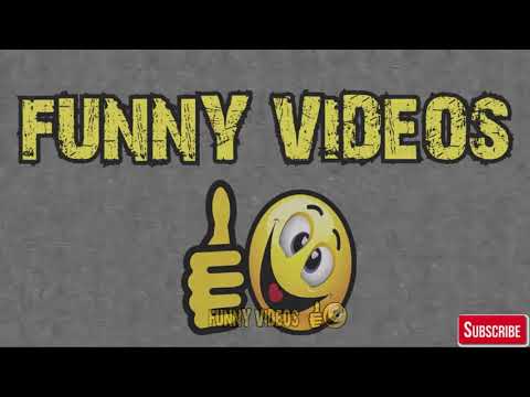 ახალი საუკეთესო ქართული ქოუბების ნაკრები