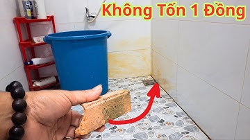 Cách Tẩy Ố Vàng Gạch Nhà Tắm Bóng Sáng Như Mới " Không Tốn 1 Đồng. Không Cần Dùng Nước Tẩy Rửa