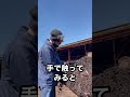 【牛のう○ち】処理はどうする?