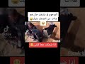 المرحوم لون شافك جان مات من الضحك تحشيش 2021