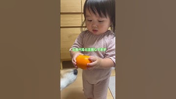 柿を分けてくれない2歳児　#shorts 　#柴犬 #柴犬と子供 #柴犬と赤ちゃん