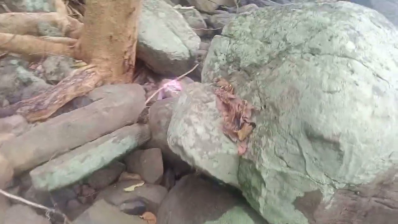 PAGONG NAWALANG MGA PAA SATABING DAGAT