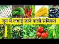 जून में लगाई जाने वाली सब्जियां | June Me Lagai Jane Vali Sabjiyan | June Month Vegetables In Hindi