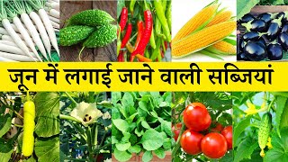 जून में लगाई जाने वाली सब्जियां | June Me Lagai Jane Vali Sabjiyan | June Month Vegetables In Hindi