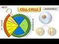 CELL CYCLE with Animation || Cell cycle for NEET exam || mitosis class 11 NCERT ||