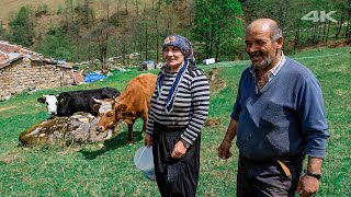 Lonely Couple and Their Animals in the Highland | Documentary ▫️4K▫️