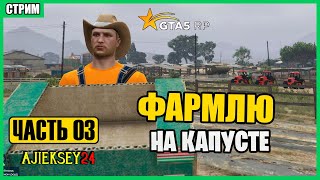 ФАРМЛЮ НА КАПУСТЕ | ГТА 5 РП GTA 5 RP