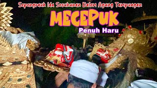 MECEPUK PENUH HARU | Sepengrauh Ida Sesuhunan Dalem Agung Tampuagan di Pura Dalem Tarukan Balangan