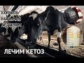 КЕТОЗ КОРОВ ПРОБЛЕМА ФЕРМ И ЧАСТНЫХ ПОДВОРИЙ