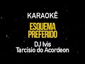 Video thumbnail of "Esquema Preferido - Dj Ivis, Tarcísio do Acordeon (Karaokê Version)"