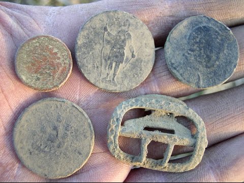 cow patty coppers metal