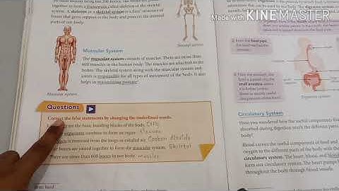 18/09/2020 Friday Explaining Topic-Main Organ System in Human body