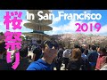 サンフランシスコの巨大日本フェス！桜祭り２０１９に行って来たよ