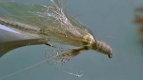 Bead Head Diving Caddis fly tying video by Shane Stalcup - one of his best!