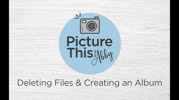 Picture This with Abby: "Deleting Files and Creating Albums"