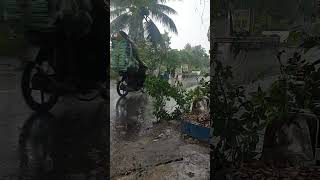 Rainy afternoon ambience