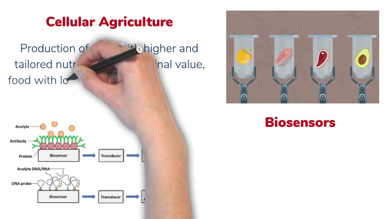 Synthetic Biology in Agriculture SynBio101 YouTube