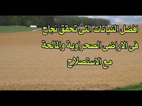 فيديو: لماذا تم اختراع الزراعة على الشرفات؟