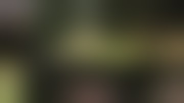 SGS Live Highlight Reel: STALKER Lost Alpha Part 1