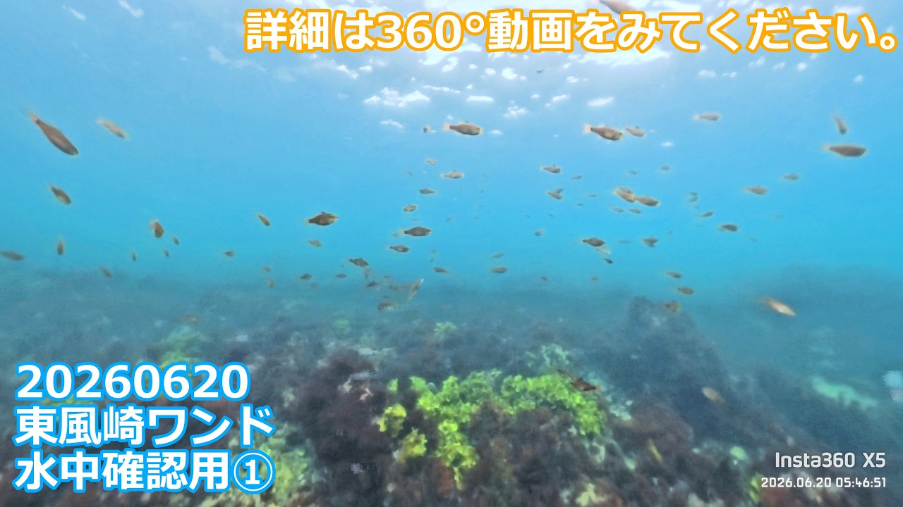 20260620①東風崎ワンド水中確認用(05:26:12～06:26:46)チャプター付き 