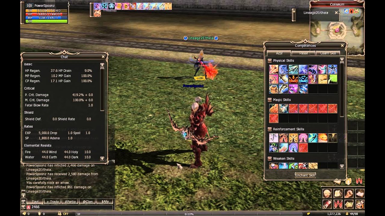 Lineage 2 squall and sayha fury critical damage reduction - YouTube