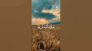 ووصينا الإنسان بوالديه إحسانا ) سورة الاحقاف..یاسر الدوسری