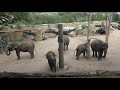 Tiere im Prager Zoo (Zoologická zahrada) 2019