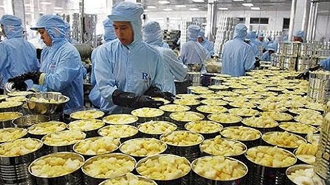 Pineapple Production Processing Factory - Pineapple Juice,Canned Pineapple - How to make Grape syrup