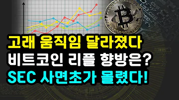 비트코인 고래 움직임 변화 BTC 리플 XRP 폭등갈까 SEC 증권법 언급하며 CFTC 경계 이유 중국과 패권 경쟁