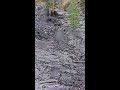 ‘Beaver will recover’: Residents react to devastation as flooding forces evacuations, decimates infr