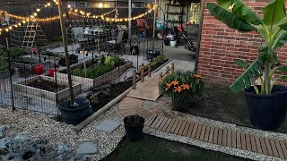 Vegetable Garden Design - SMALL Garden on a BUDGET [Ep. 3]
