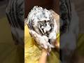 shampoo bubble technic✨ World's best technique