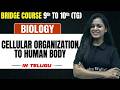 Cellular Organization to Human Body 🔥 | Biology | 9th to 10th Bridge Course | TG Students 🔥