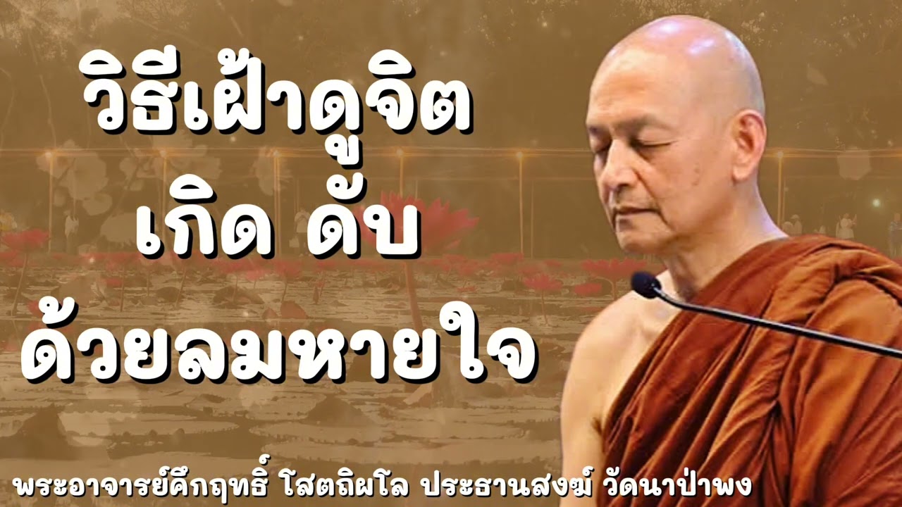 จิตดวงหนึ่งเกิดขึ้นดวงหนึ่งดับไปตลอดวันตลอดคืน วิธีเฝ้าดูจิต เกิดดับ ด้วยลมหายใจ #พุทธวจน