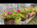 Trồng hoa trong quả dừa khô dễ thương | Beautiful hanging flower pots