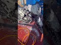 Foam Washing #autojagat #bikeservice #sikar #washing #shorts