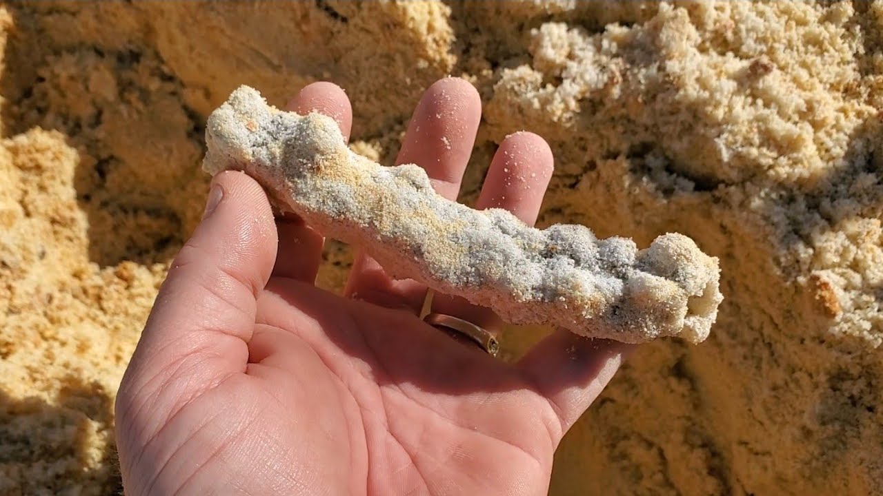 Digging Up Ancient Lightning Strikes!! Epic Find!! (Fulgurite Dig)