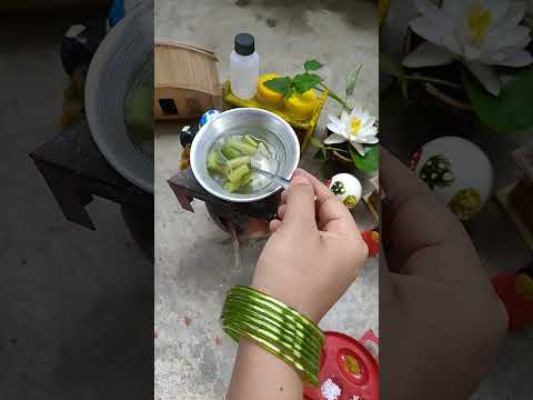 Water Lily Boiling #asmr #waterlily #shapla #bengalifood #minitinycooking #food #boiled #recipe